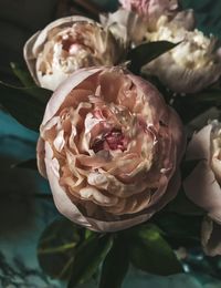 Close-up of rose bouquet