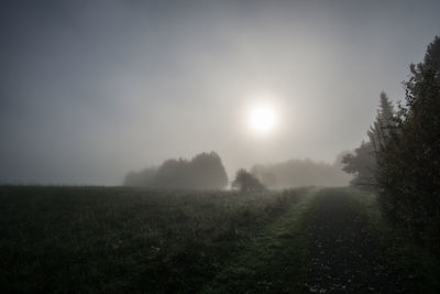 Trees on field against sky during foggy weather