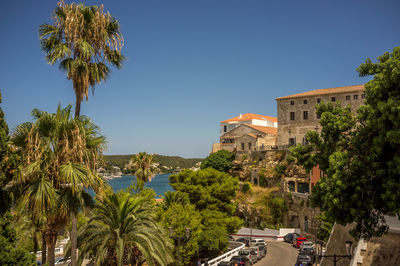 Palm trees and buildings against blue sky