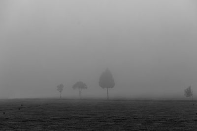 fog