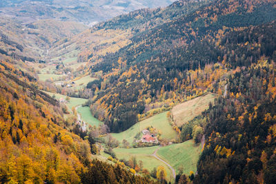 Aerial view of landscape during autumn