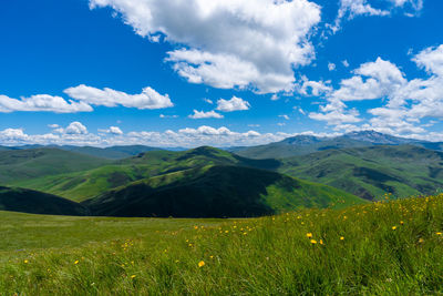 Scenic view of field against sky