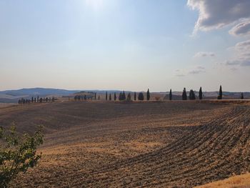 Harvested field in val d'orcia during summer