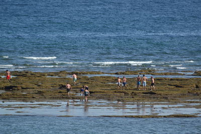 Group of people on beach