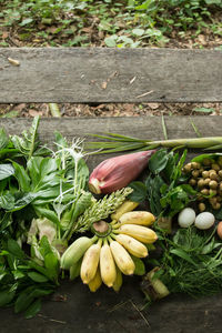 High angle view of fruits growing in container