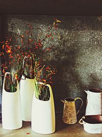 Close-up of potted plants