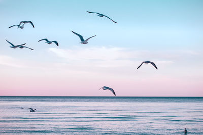 Seagulls flying over sea against sky