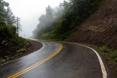 Country road along trees and plants