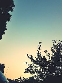 Low angle view of silhouette trees against clear sky