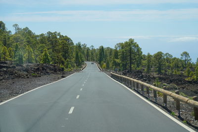 Empty road along trees and plants against sky