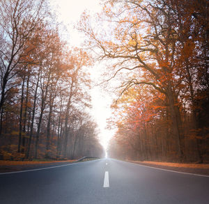 Road amidst trees in forest during autumn