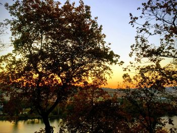 Silhouette trees by lake against sky during sunset