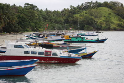 Boats moored on sea against trees