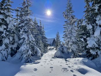 Snow covered landscape against sky