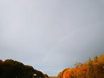 Low angle view of trees against sky