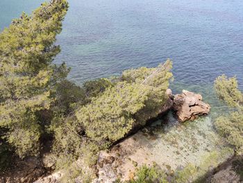 High angle view of rock by sea