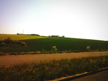 Scenic view of field against clear sky