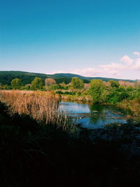 Scenic view of lake against blue sky