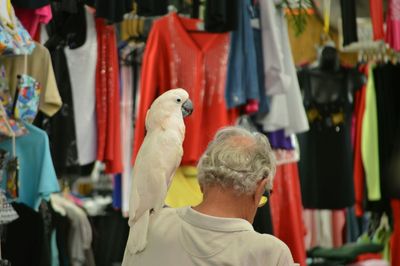 White cockatoo perching on man shoulder at market