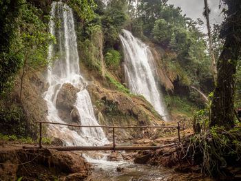 Scenic view of waterfall in forest