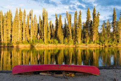 Scenic view of lake against trees in forest