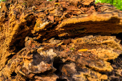 Full frame shot of rocks