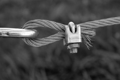 Close-up side view of steel cable against blurred background