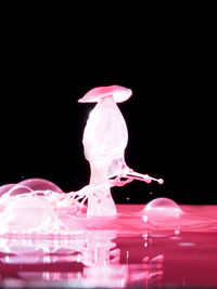 Close-up of splashing water over black background