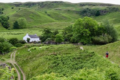 Scenic view of landscape