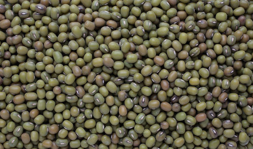 Full frame shot of lentils