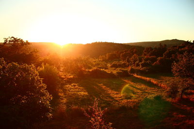 Scenic view of landscape against sky during sunset