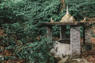 Stone wall by trees in garden