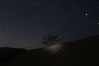 Low angle view of silhouette trees against sky at night