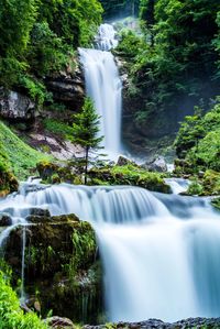 Scenic view of waterfall in forest