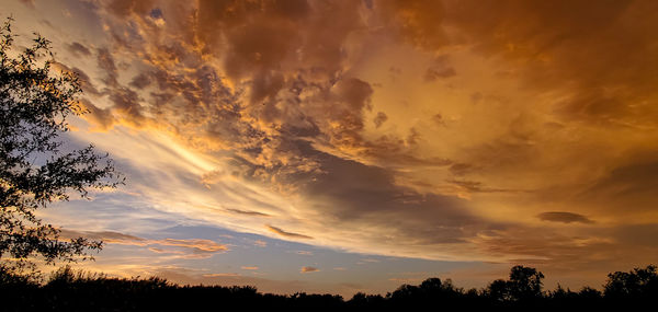 Low angle view of silhouette trees against sky during sunset