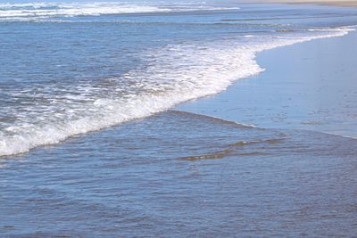 Scenic view of beach