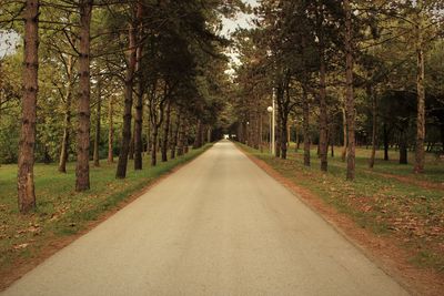 Road amidst trees in forest