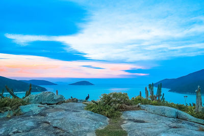 Scenic view of beach against blue sky