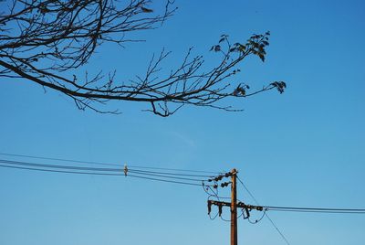 Low angle view of silhouette branch and electricity pylon against blue sky 