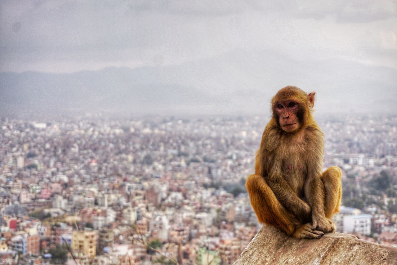 Kathmandu