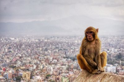 View of cityscape