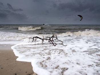 Driftwood at sea shore against cloudy sky