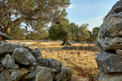 Rocks on land against sky