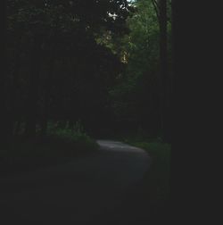 Road amidst trees in forest