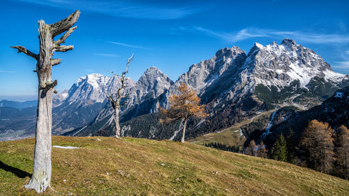 Zugspitze, sonnenspitze and marienbergspitzen with dead trees