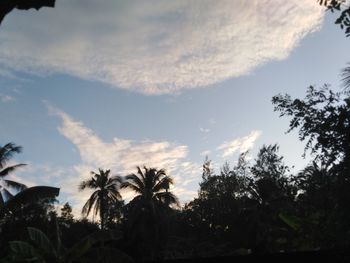 Low angle view of silhouette trees against sky