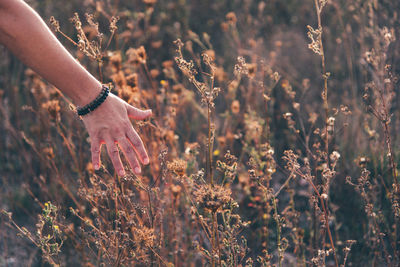 Cropped hand of woman against plants