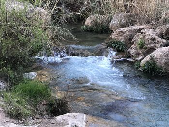 Stream flowing through rocks in forest