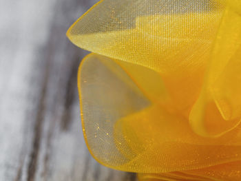 Close-up of yellow flower in water