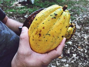 Close-up of hand holding apple